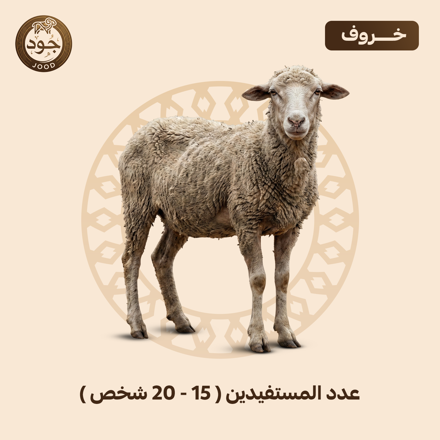 خروف